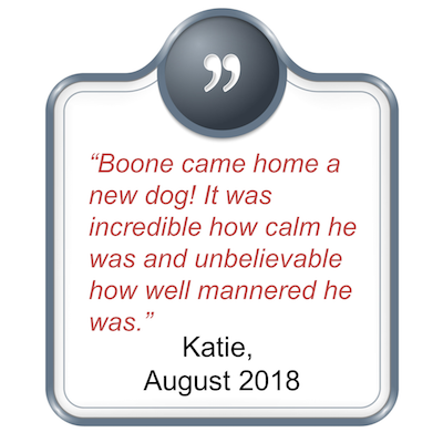 Quote about Boone
