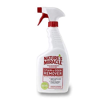 Natures Miracle Stain & Odor Remover ---------- (BUY IT FROM AMAZON)